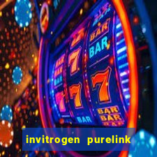 invitrogen purelink genomic dna mini kit